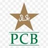 PCB